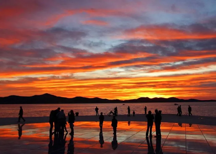 Deluxe Neli زادار